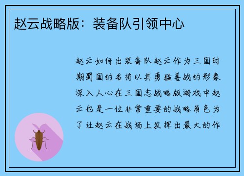 赵云战略版：装备队引领中心